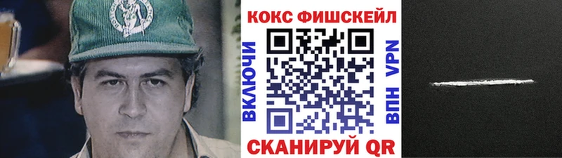 COCAIN Fish Scale  Купить где  Великие Луки 