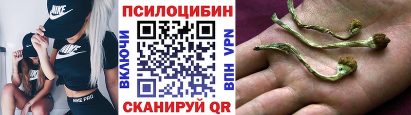 Купить закладки  Великие Луки  Псилоцибиновые грибы Magic Shrooms 
